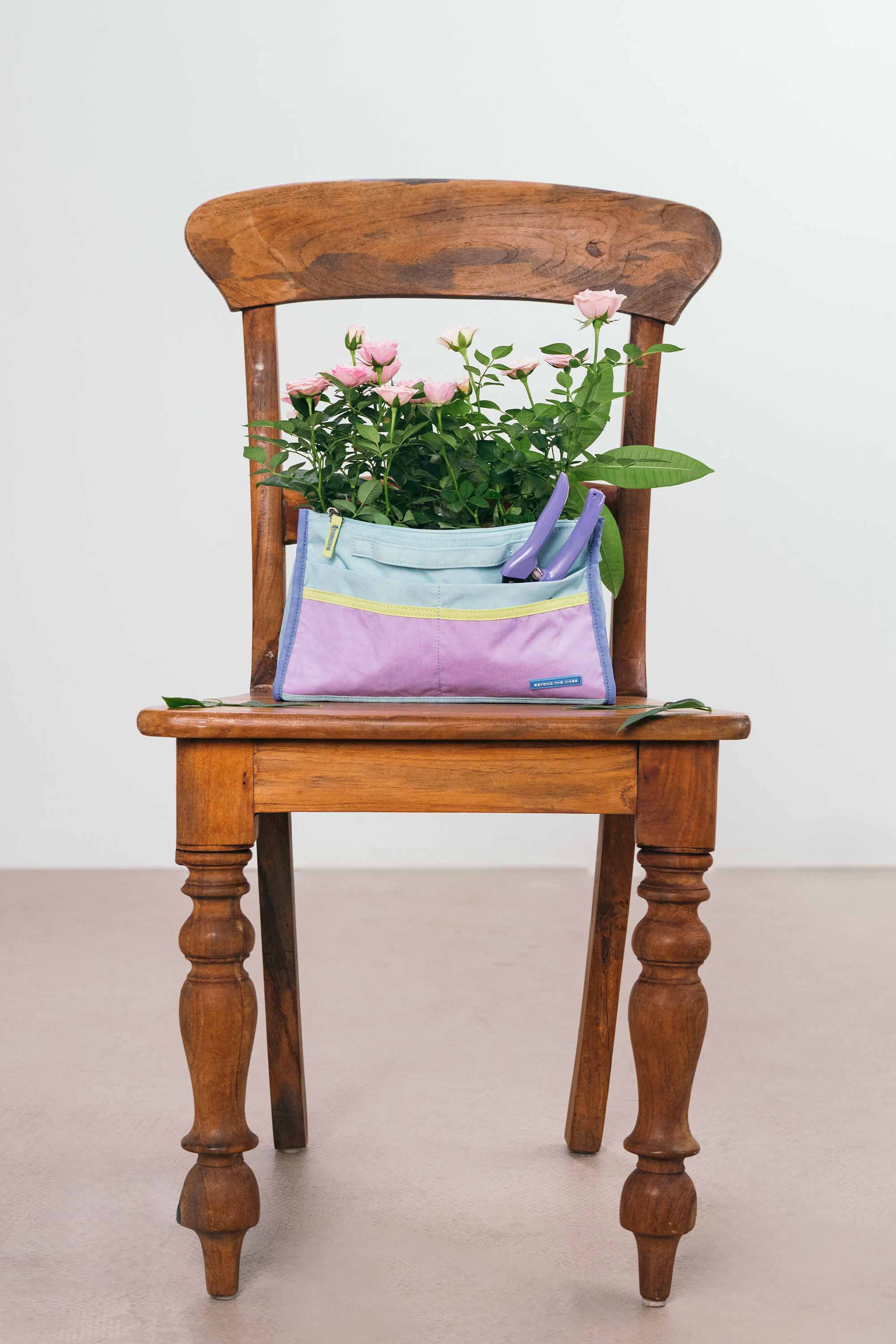 Crunch Organiser 01 | ビヨンド・ザ・ヴィンズ - ビヨンド・ザ