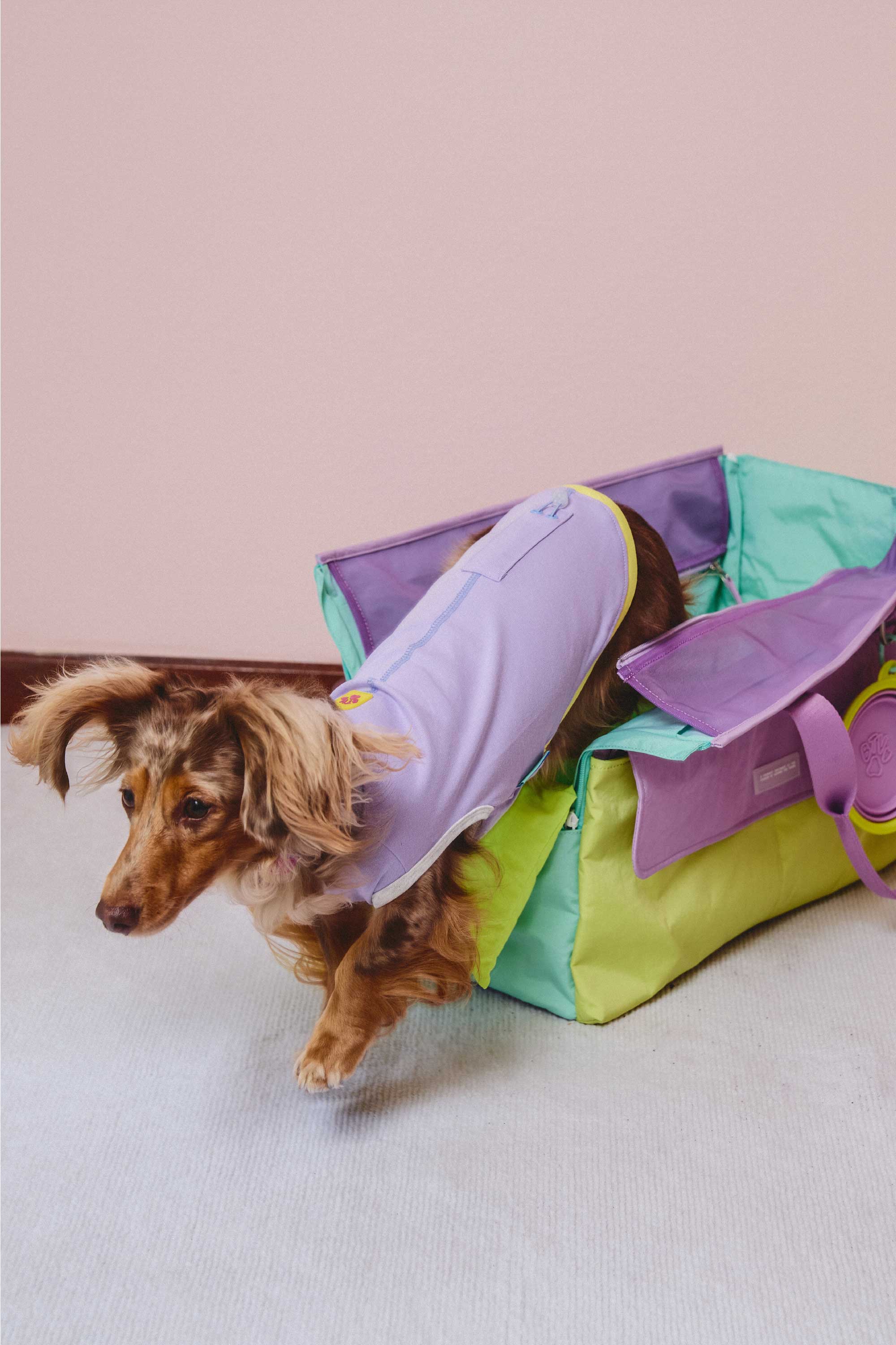 Carrier_Lilac.jpg?v=1765526500