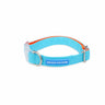Light Blue Colourblock